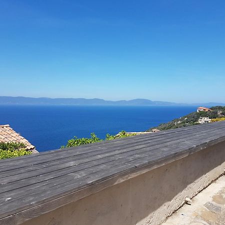 Studio Climatise Ile Naturiste Du Levant Hyeres Exterior photo